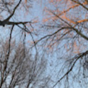 Meet your Posher, Plei